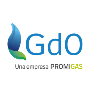 Gases de Occidente