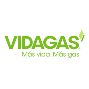 Vidagas
